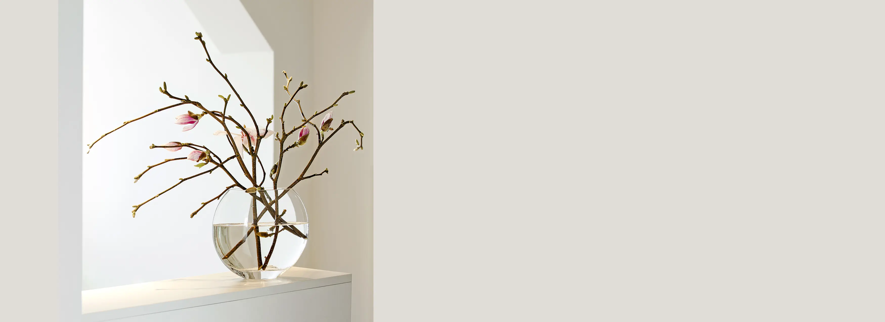 Zweig mit Knospen in einer runden Glasvase auf einem weißen Möbelstück vor heller Wand.